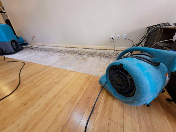 Professional Flood Damage Cleanup technician working in Huntsville, AR